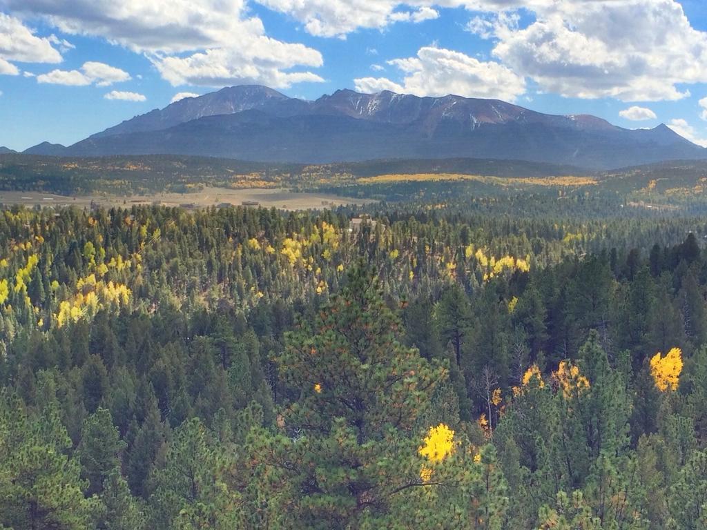 Pikes Peak Paradise Bed And Breakfast Woodland Park Exterior foto