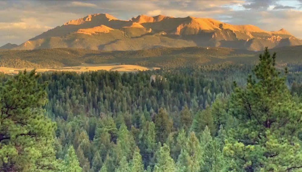 Pikes Peak Paradise Bed And Breakfast Woodland Park Exterior foto